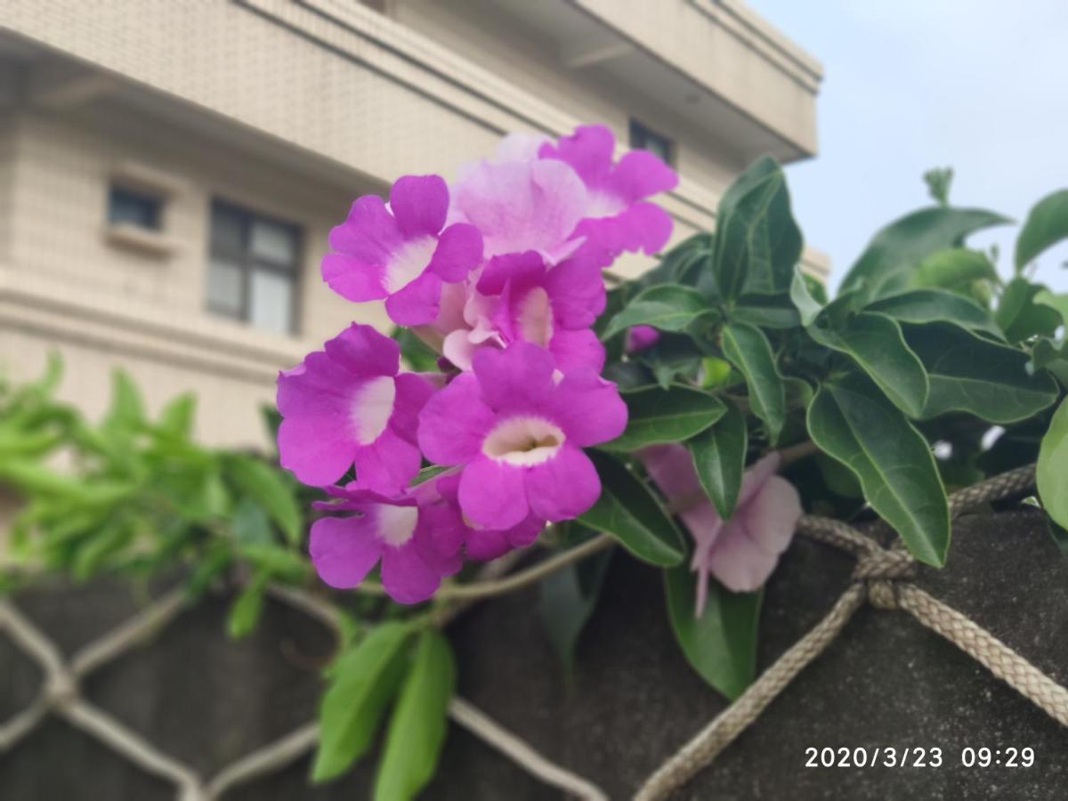 嘉義泊岸居民宿 Lucao Экстерьер фото